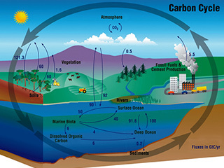 The artist view of the global water cycle and the WCOM This is the