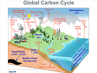 Fast Carbon Cycle | AIRS